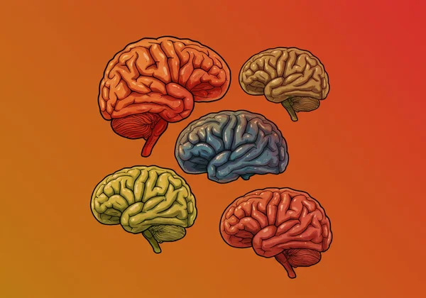 Diverse brains symbolizing neurodiversity and self-acceptance